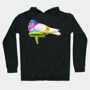 Colorful dove in vintage design Hoodie